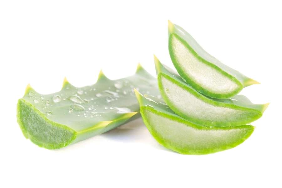 Aloe Vera als Superfood: Nährstoffe und Vitamine im Überfluss