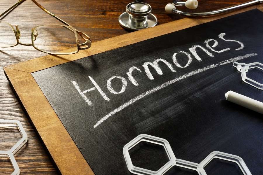 Wie Hormone und Stoffwechsel in den Wechseljahren dein Gewicht beeinflussen und was du dagegen tun kannst!