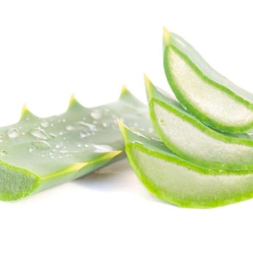 Aloe Vera als Superfood: Nährstoffe und Vitamine im Überfluss