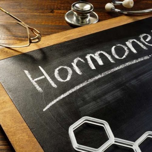 Wie Hormone und Stoffwechsel in den Wechseljahren dein Gewicht beeinflussen und was du dagegen tun kannst!